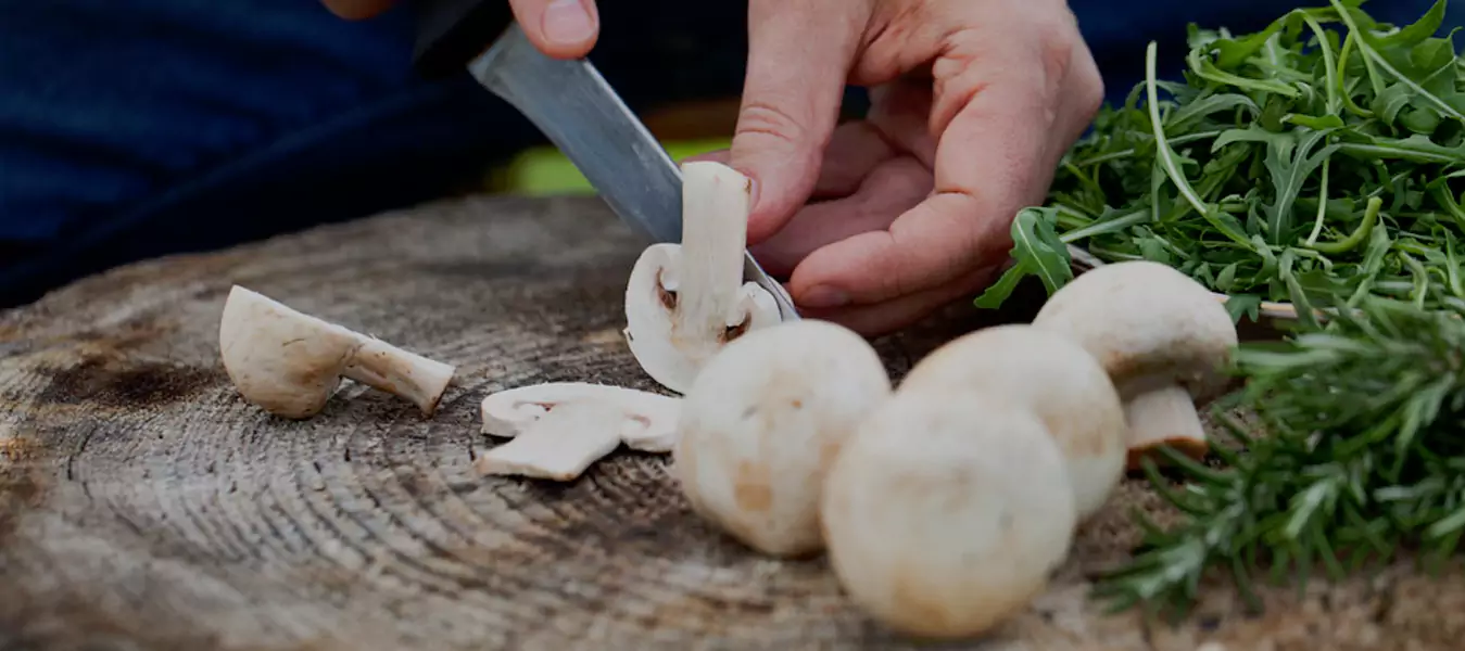 Wedding Caterers in Delhi ncr